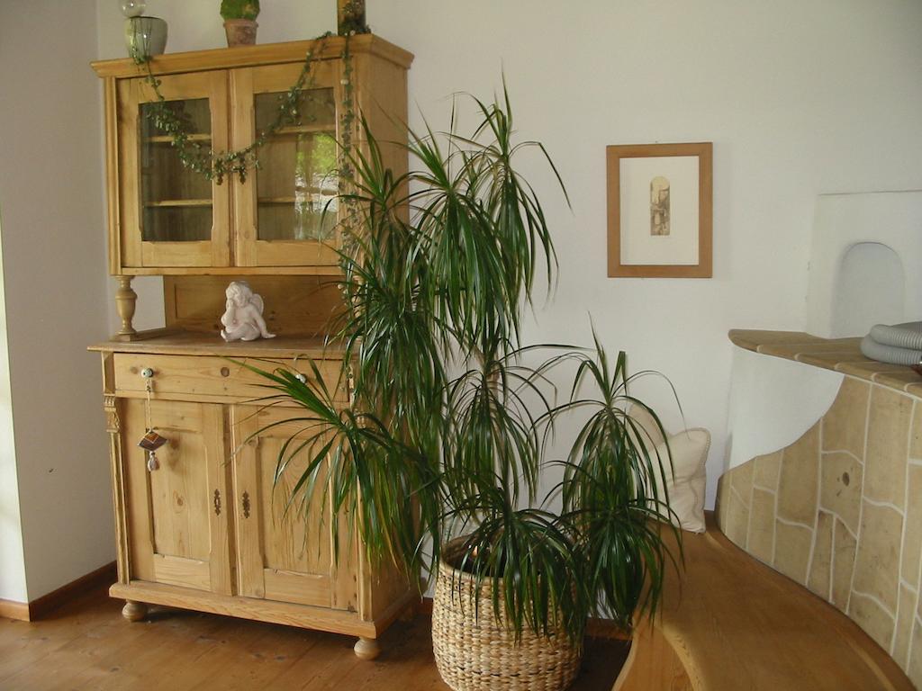 Ferienwohnung Am Pflanzgarten 에벤시 객실 사진